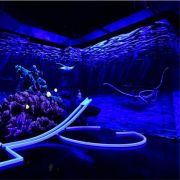 Minigolf-Alte-Papierfabrik---rajca-art-30