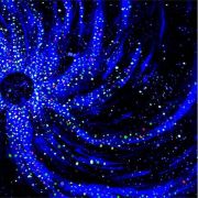 Minigolf-Alte-Papierfabrik---rajca-art-46